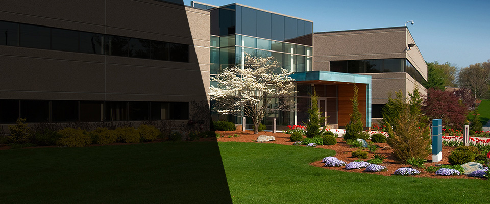 Hermosa Beach Landscapers