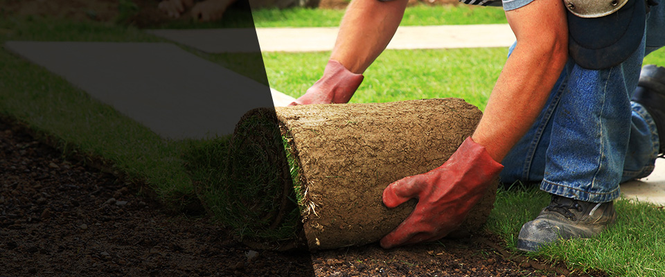 Hermosa Beach Landscapers